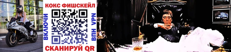 COCAIN Fish Scale  Купить  Нововоронеж 