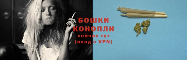 молекула духа Зеленокумск