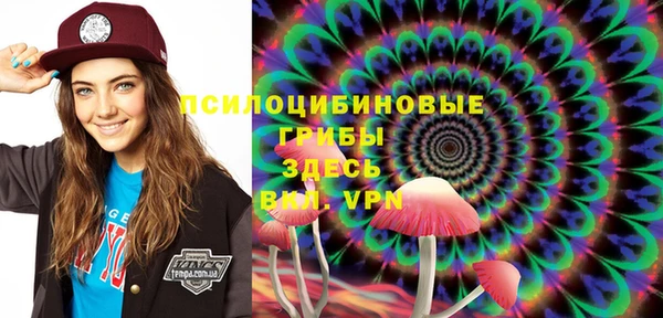 молекула духа Зеленокумск