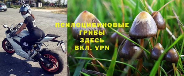 спиды Заволжск