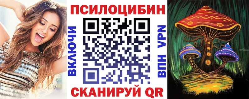 Галлюциногенные грибы мицелий  Купить закладки  Нововоронеж 